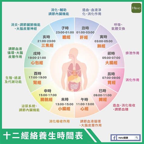 時間 五行|一張圖看十二經絡養生時間表，依循作息養生事半功倍！